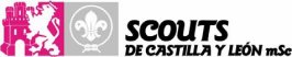 Scouts Castilla y León mSc